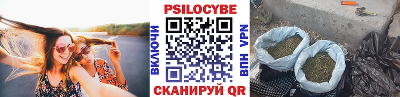 Псилоцибиновые грибы Magic Shrooms  Строитель 
